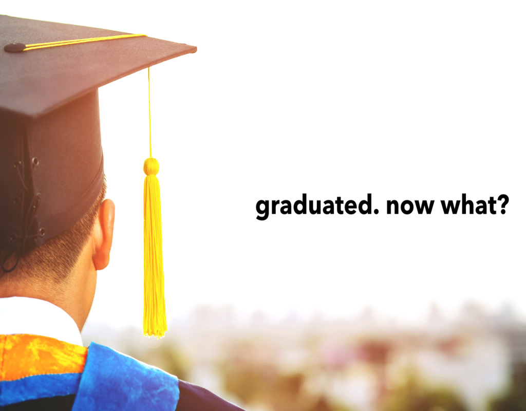 Sprect Blog How should freshers get a job